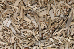 biomass boilers Rhydargaeau